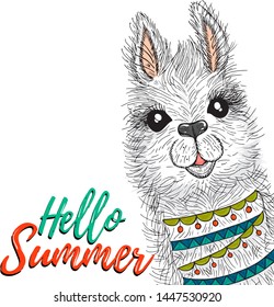 Lama print  isolated. Vector kids print. Wild nature animal. ELement for poster, print, banner or web design.Hello summer