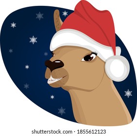 Lama in Santa Claus hat on blue background with white snowflakes. A smiling cartoon animal.