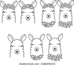 Lama set isolated vector illustration