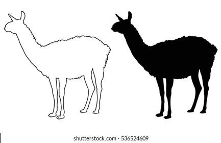 Lama silhouette, vector illustration