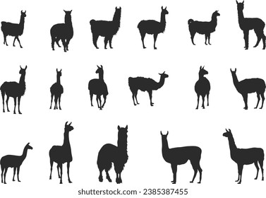 Lama silhouettes, Llama silhouette,   Lama animal silhouette.