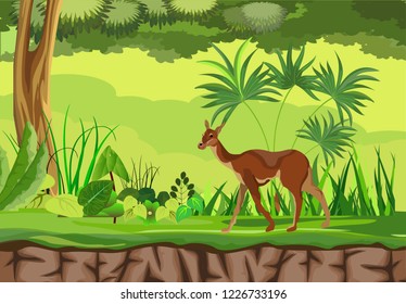 Lama south american animal in the forest, vector wildlife natural landscape. 