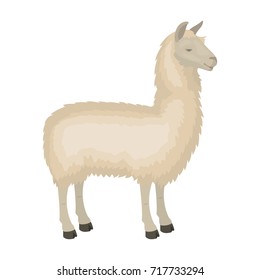 Lama, a South American pack animal. A lame, a cloven-hoofed mammal single icon in cartoon style vector symbol stock illustration web.