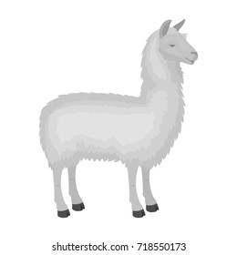 Lama, a South American pack animal. A lame, a cloven-hoofed mammal single icon in monochrome style vector symbol stock illustration web.