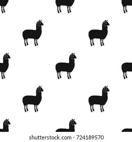 Lama, a South American pack animal. A lame, a cloven-hoofed mammal single icon in black style vector symbol stock illustration web.