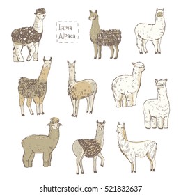 lama vector color set