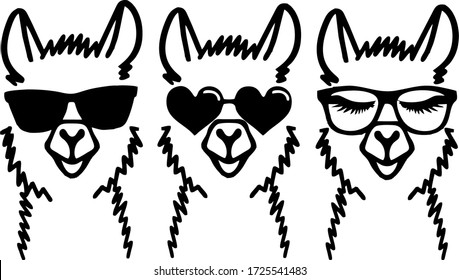 lama vector glasses animal funny