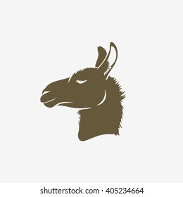 Lama - vector illustration
