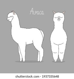 Lama vector illustration. Fas and profile.