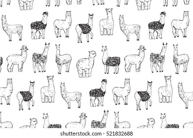 lama vector line pattern
