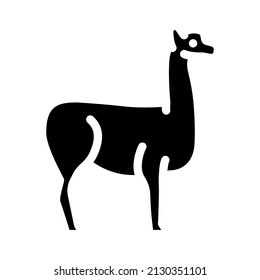 lama wild animal glyph icon vector. lama wild animal sign. isolated contour symbol black illustration