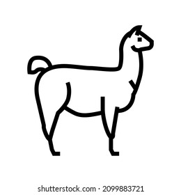 lama wild animal line icon vector. lama wild animal sign. isolated contour symbol black illustration