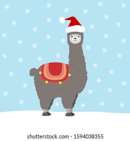lama in winter with a santa clause hat