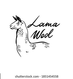 Lama Wool 100%.Wool signs. Natural Wool Product Logo Design. Hand drawn vector illustration. Can be used for shop, market, fabric, wrapping paper, scrapbooking.