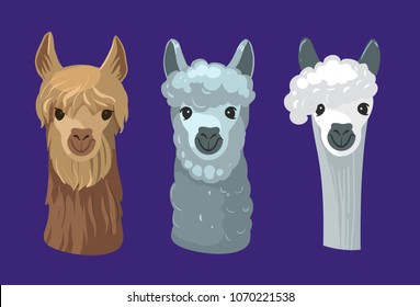 Lama's head. Alpaca. Vector illustration