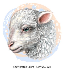 Lamb. Artistic, hand-drawn, color portrait of a lamb's head on a white background in watercolor style.