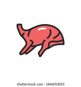 Lamb carcass color line icon. Pictogram for web page, mobile app, promo.