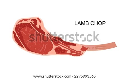 Lamb chop in flat illustration. Meat product isolated on white background. Piece of chop lamb with bone. Vector illustration Stock photo © 