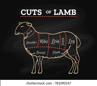 Lamb cuts chart. Sheeps or lambs meat steak butcher chalkboard scheme in retro hand drawn style vector illustration