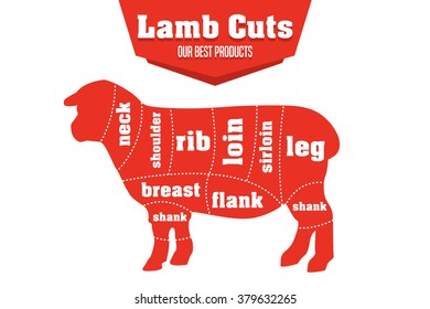 Lamb cuts infographic set of meat parts, vector illustration