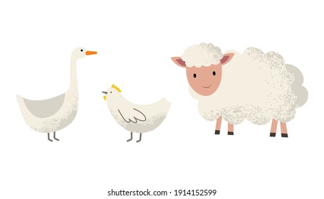 Lamb. Domestic bird. Chicken and goose.Hand drawing illustration. Flat illustration