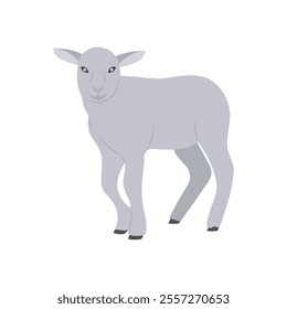 Lamb, Farming Flat Vector Illustration