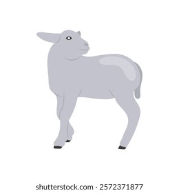 Lamb Flat Icon, Vector illustration