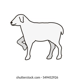 lamb of god symbol