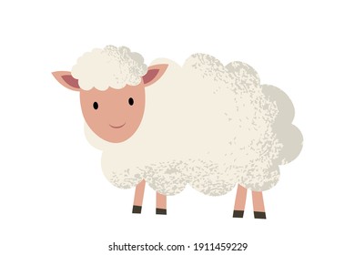 Lamb. Hand drawing illustration. Flat illustration