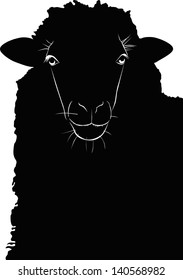 lamb isolated on white background