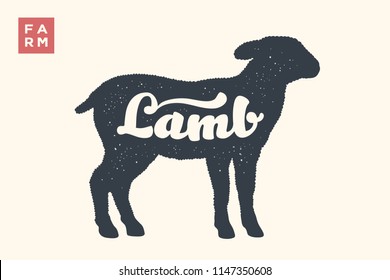 Lamb. Lettering, typography. Animal silhouette sheep or lamb and lettering Lamb. Creative graphic design for butcher shop, farmer market. Vintage poster for meat related theme. Vector Illustration