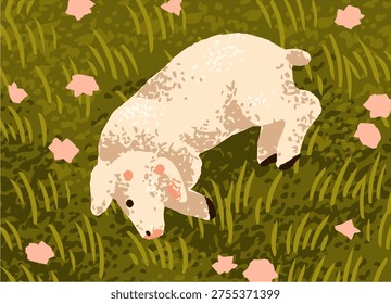 Lamb lying on grass among meadow flowers. Little baby sheep resting, relaxing at summer countryside. Cute lovely farm animal on rural country field, pasture, in nature. Flat vector illustration