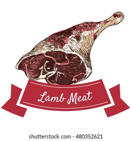 Lamb meat colorful illustration. Vector illustration of lamb meat.