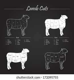 LAMB meat cuts - blackboard