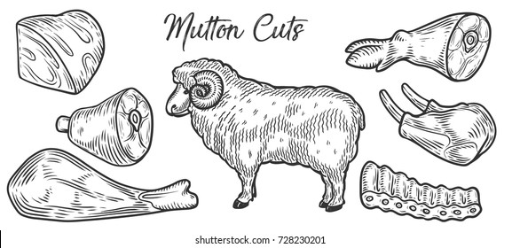 Lamb Meat cuts, parts, chop hand drawn butchery vector set. Engraved meat collection chalkboard.