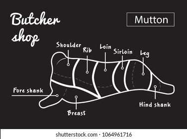 Lamb or mutton cuts diagram. Butcher shop. Vector illustration