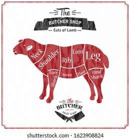 Lamb or mutton cuts diagram. Butcher shop. Vector illustration