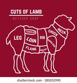 Lamb or mutton cuts diagram. Butcher shop. Vector illustration 