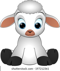 Lamb on a white background