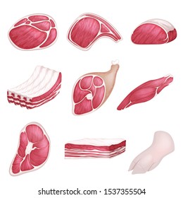 Lamb, Pork Beef, And Other Meat Pictures In Cartoon Style. Steak Of Beef, Raw Pork Meat.