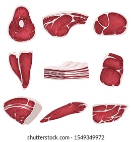 Lamb, pork beef, and other meat pictures in flat style. Steak of beef, raw pork meat.