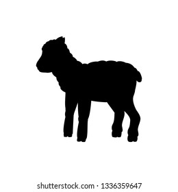 Lamb sheep farm mammal black silhouette animal. Vector Illustrator.