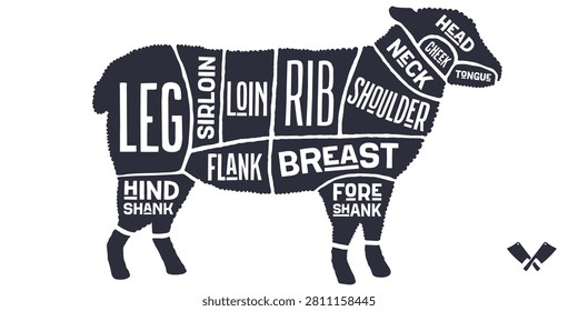 Cordero, oveja, carnicero dibujado a mano cortes guía de carne. Dibujado a mano carnicero cordero gráfico esquema de silueta de oveja, cortes de cordero gráfico carnicería cartel diagrama, guía de carne oveja cortes gráfico. Ilustración vectorial