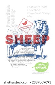 Lamb shop advertising poster with vintage sheep sketch. Butcher market retro print. Butchery label creative typography template. Natural farm product placard engraving ewe hand drawn artwork. Vector