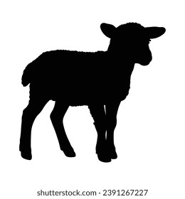 Lamb Silhouette on White Canvas.