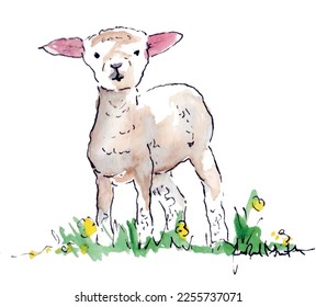 Lamb spring sketch art, Easter floral vector watercolor.