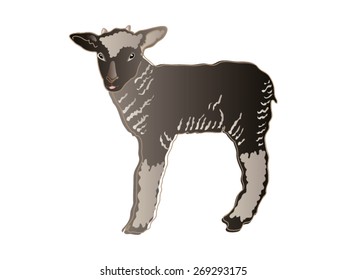 Lamb vector illustration