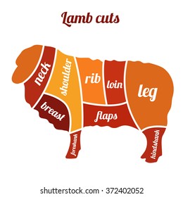 Lamb vector illustration. Lamb or mutton cuts diagram.