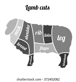Lamb vector illustration. Lamb or mutton cuts diagram.