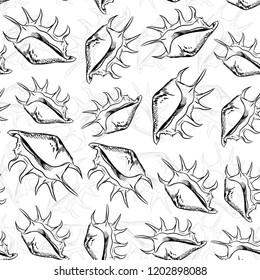 Lambis, common name the spider conch, is a species of large sea snail, a marine gastropod mollusk in the family Strombidae, the true conchs. Sketch black contour isolated on white background. Vector